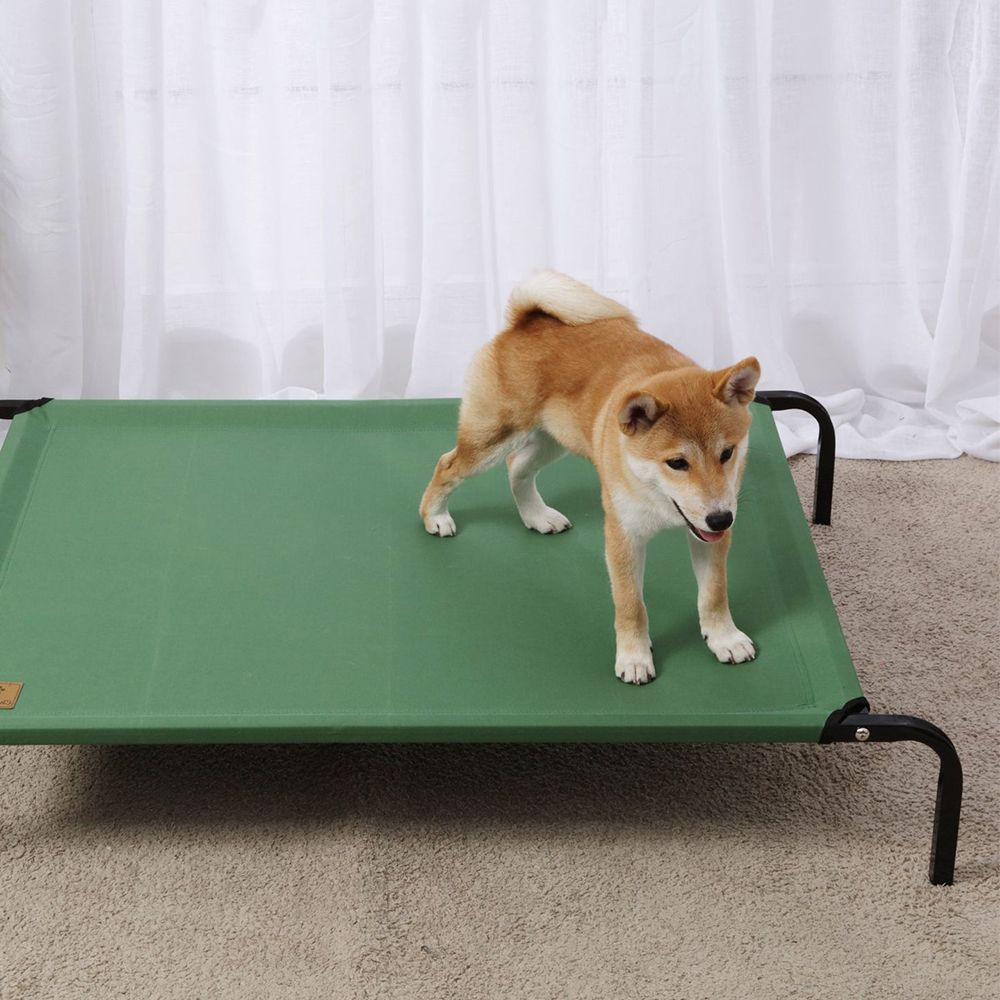 Charlie's Trampoline Hammock Bed Green