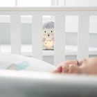 Henry the Hedgehog lifestyle 