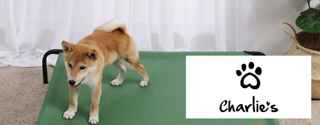 Charlies Mobile Banner