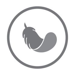 Asthma Friendly Icon