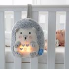 Henry the Hedgehog lifestyle 