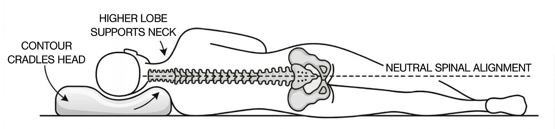 Spinal Alignment 1