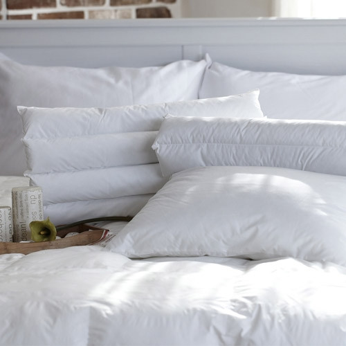 Downia Lifestyle Image