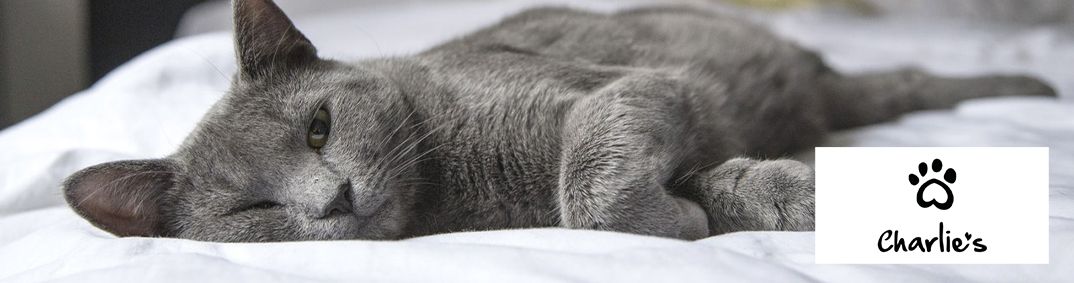 Charlies Desktop Banner