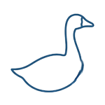 Goose Down