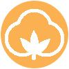 Cotton Cover Icon