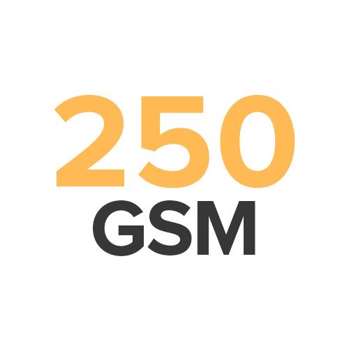 25 GSM Logo
