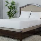 Protect-A-Bed Allerzip Smooth Anti-Allergy Fully Encased Waterproof Mattress Protector