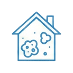 Homes with Mould Problems
