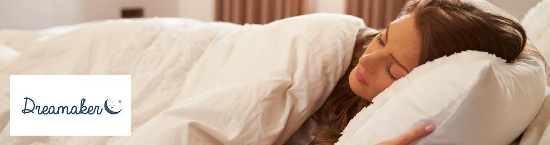 Dreamaker Desktop Banner