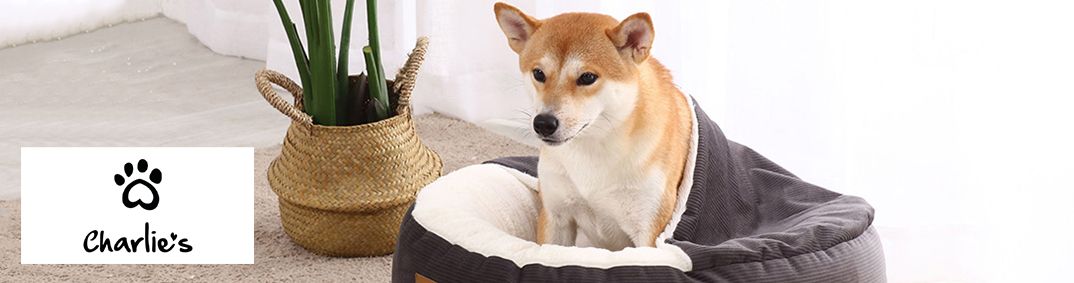 Charlies Desktop Banner