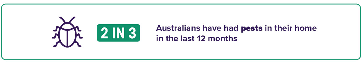 Pests Infographic Banner