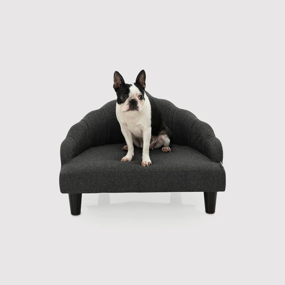 Charlie's Crown Elevated Pet Sofa Bed Charcoal