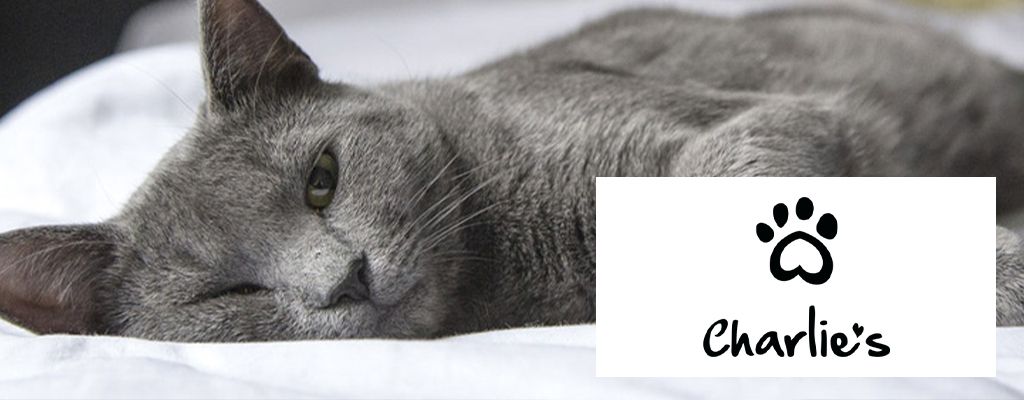 Charlies Mobile Banner