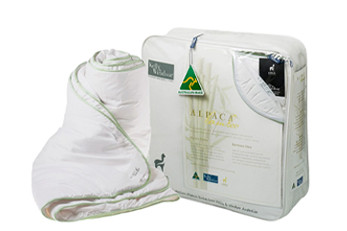 Kelly and Windsor Summer Quilt