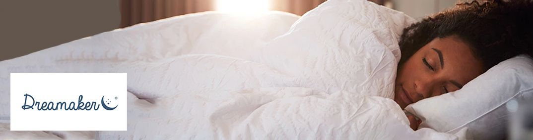 Dreamaker Desktop Banner