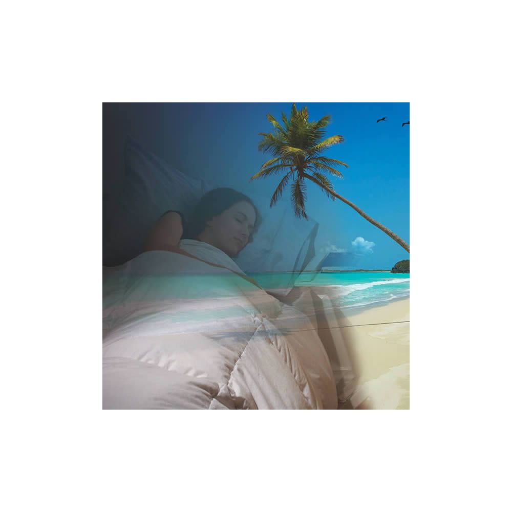 Sound Oasis Sleep Therapy Audio Pillow with Speakers Bedroom