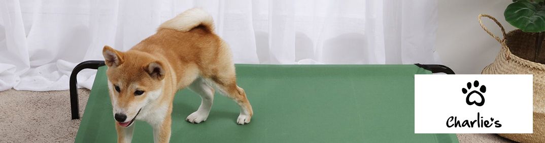 Charlies Desktop Banner