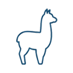 Alpaca