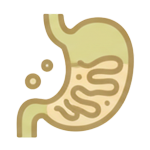 Digestive Disruption