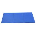 Charlie's Furry Best Friends Pet Cooling Mat