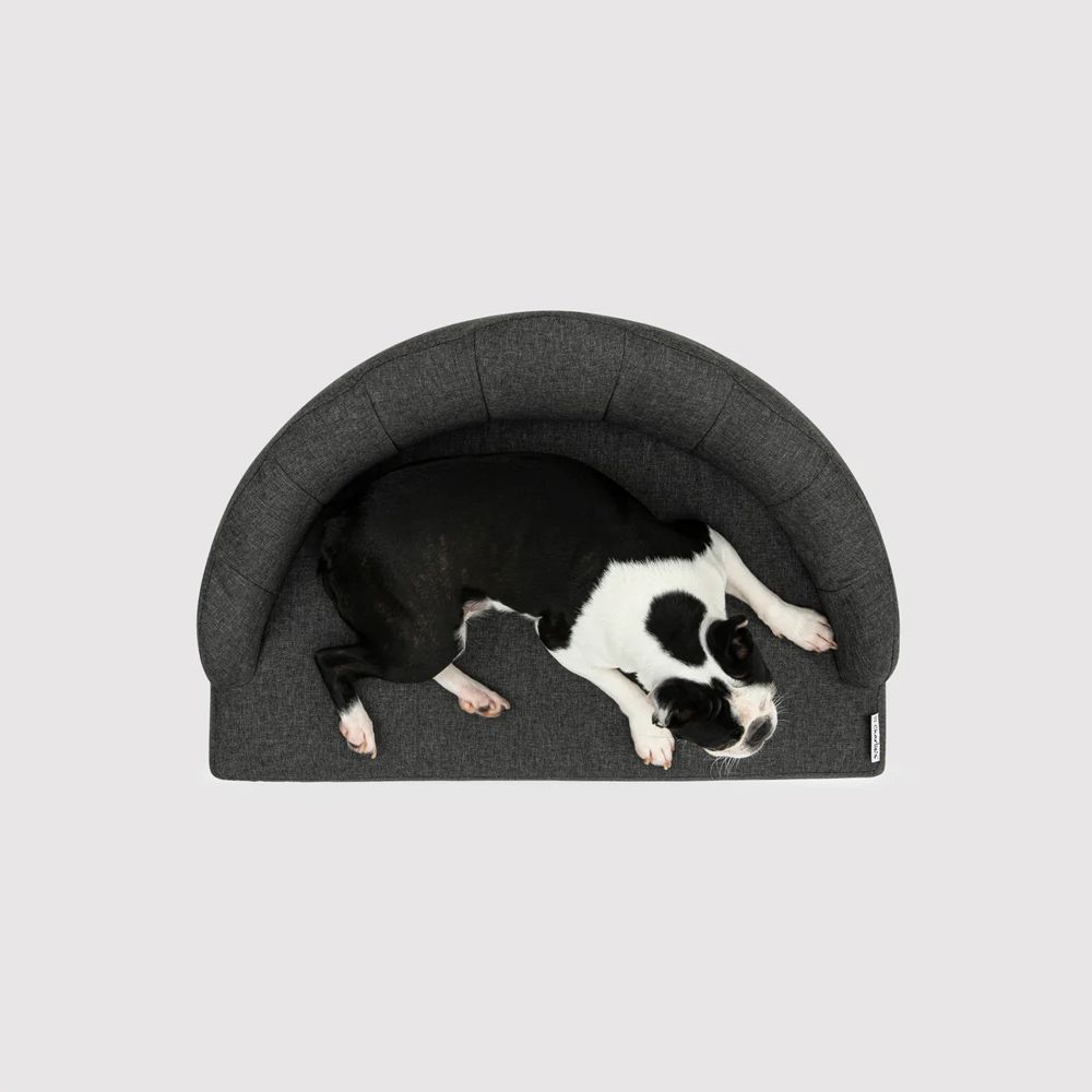 Charlie's Crown Elevated Pet Sofa Bed