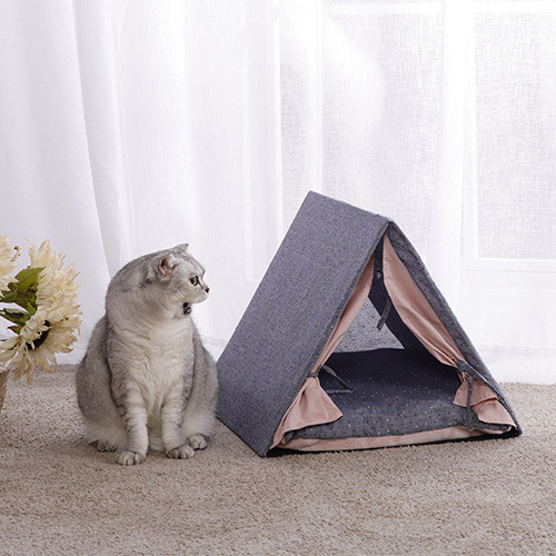 Charlie's Cat Double-Sided Cushion Bed Tent Lifestyle
