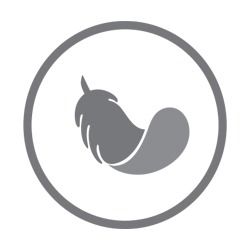 Asthma Friendly & Hypoallergenic