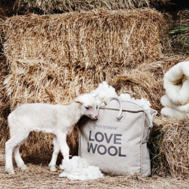 Benefits of Wool