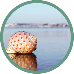 Ocean Surf With White Noise