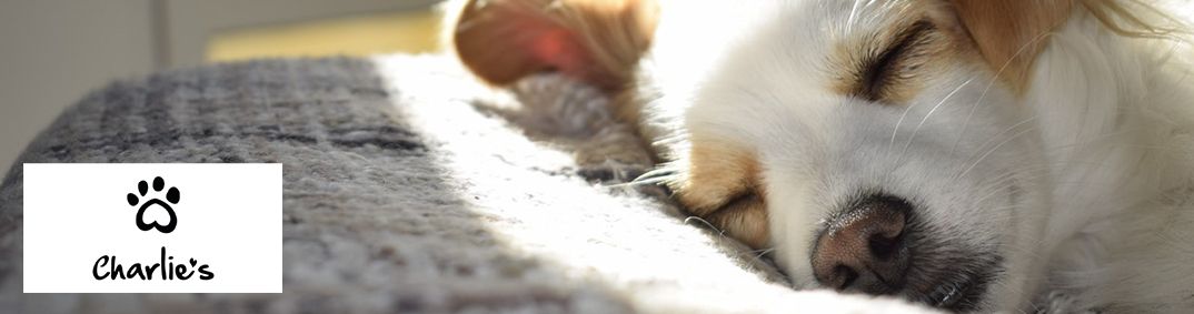 Charlies Desktop Banner