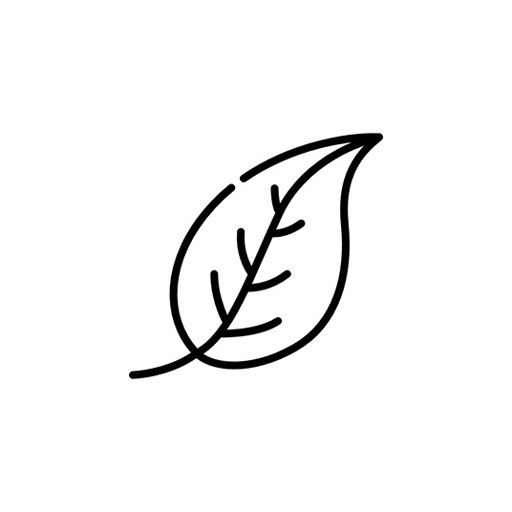 Hypoallergenic and skin-friendly