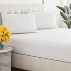 Renee Taylor 300 Thread Count 100% Organic Cotton Fitted and Pillow Case Set
