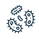 Bacteria Icon