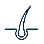 Human Hair Icon