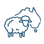 Wool