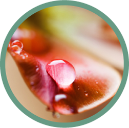 Rain With White Noise