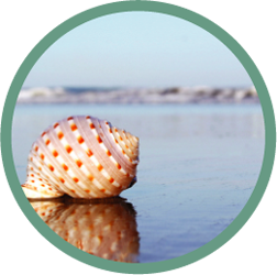 Ocean Surf With White Noise