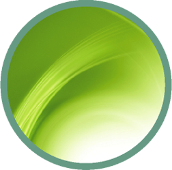 Tinnitus Therapy 2K – 8K