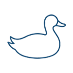 Duck Down