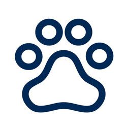 Pet dander & odours Icon