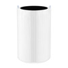 Blueair Joy S Particle + Carbon Replacement Filter