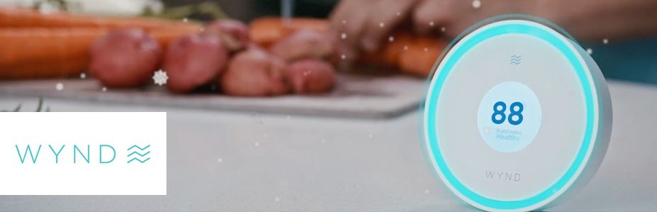 Wynd Halo Smart Air Quality Monitor Banner