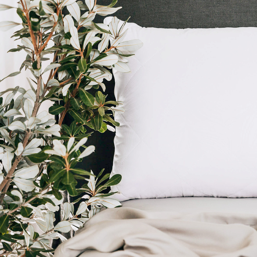 Bambi Sensitiva Microfibre Embossed Pillow Protector 2