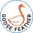 Downia Goose Feather European Pillow