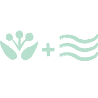 Organic cotton filling