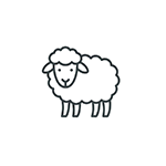 Wool