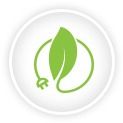 Environmentally friendly Icon