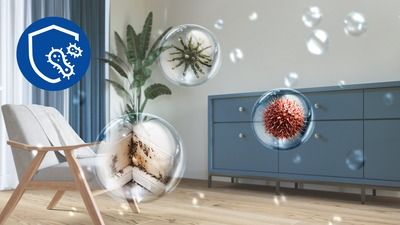 Solution for Dampness & Mold Protection