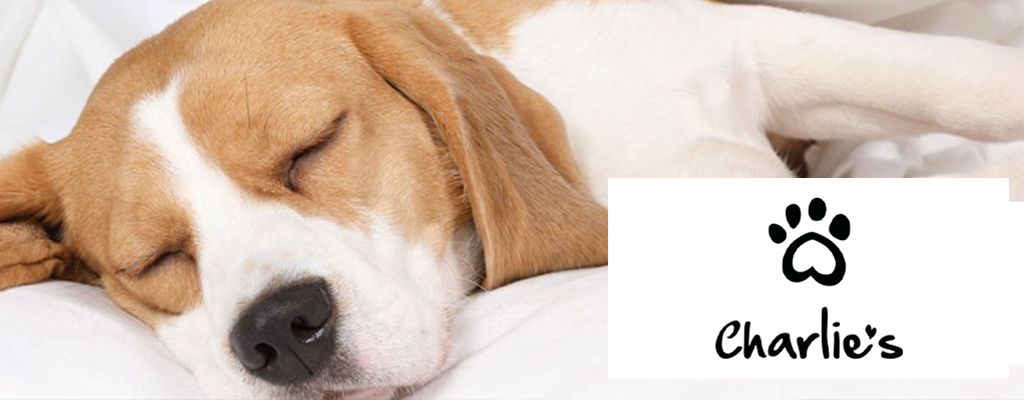 Charlies Mobile Banner